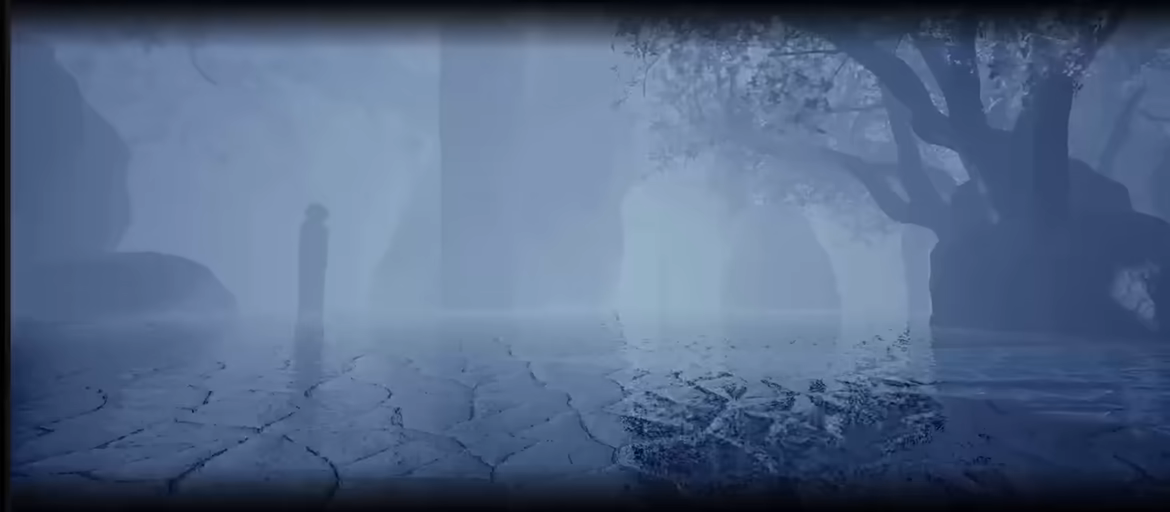 Nifland video 5
