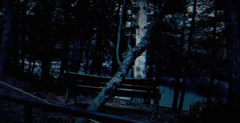 Dissolution of the Silent Union video 3