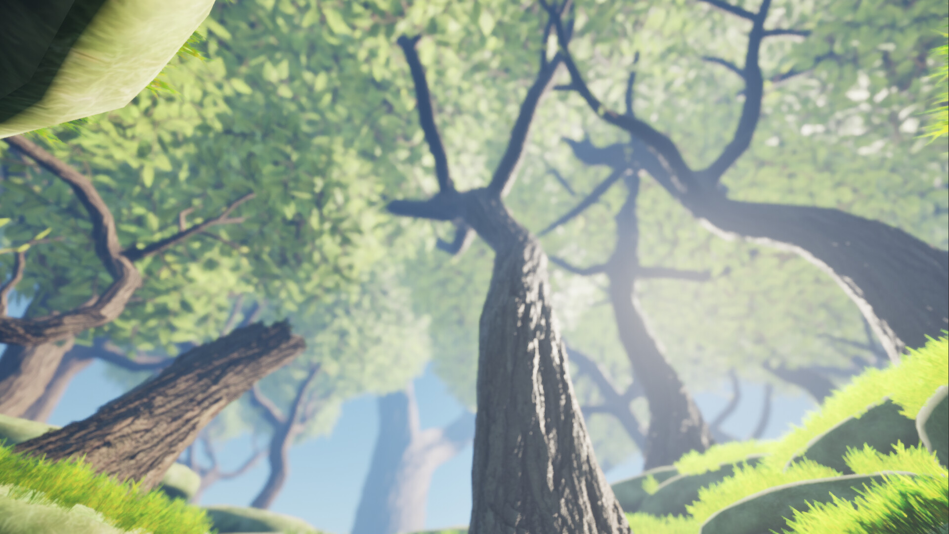 Weave & Wander screenshot #10