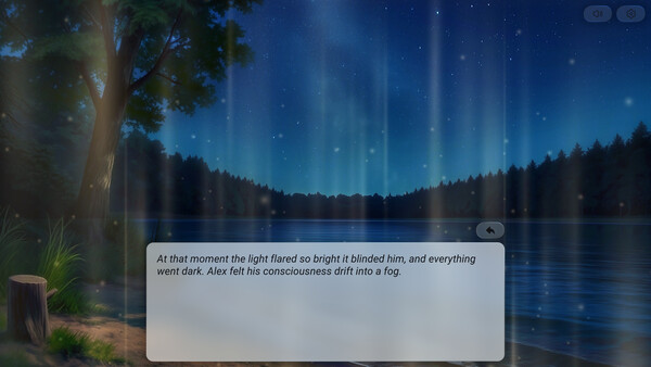 Reflection Of Feelings screenshot 9
