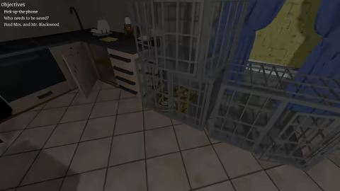 Escape the Red Curse video 6
