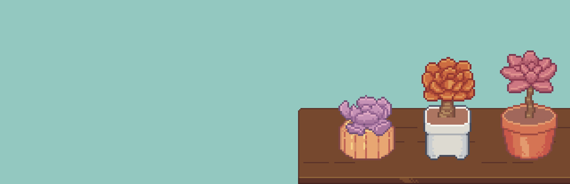 Succulent Break
