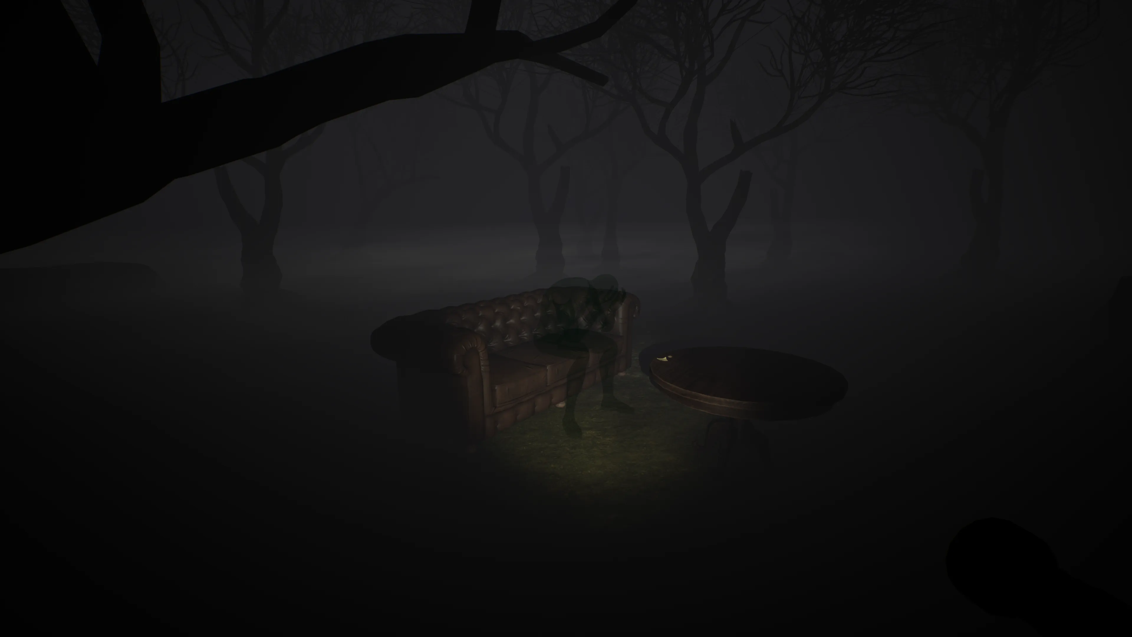 Shadow sitting on a sofa in the forest.