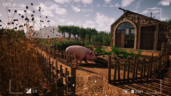 Screenshot media