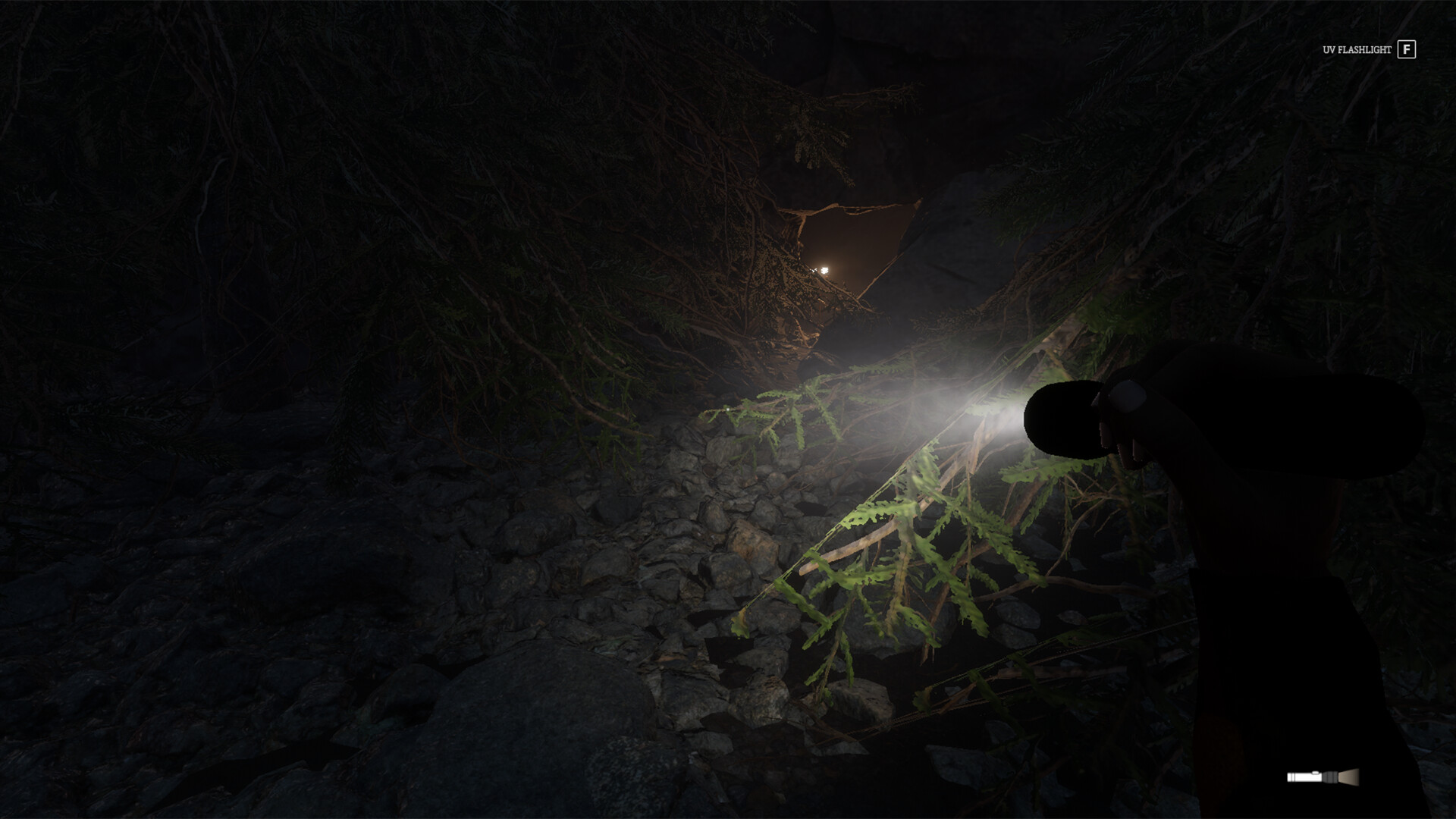 Appalachia screenshot #3