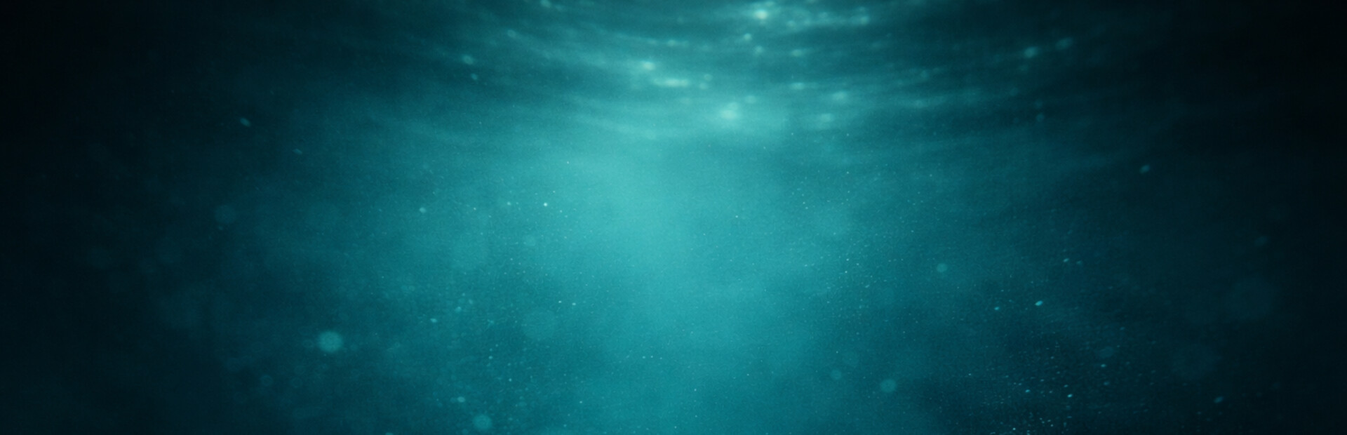 Subsurface