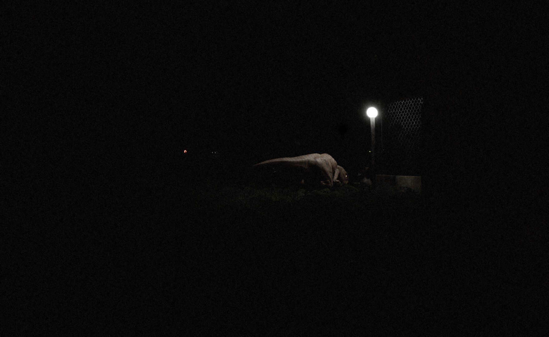 D-Extinction screenshot 10