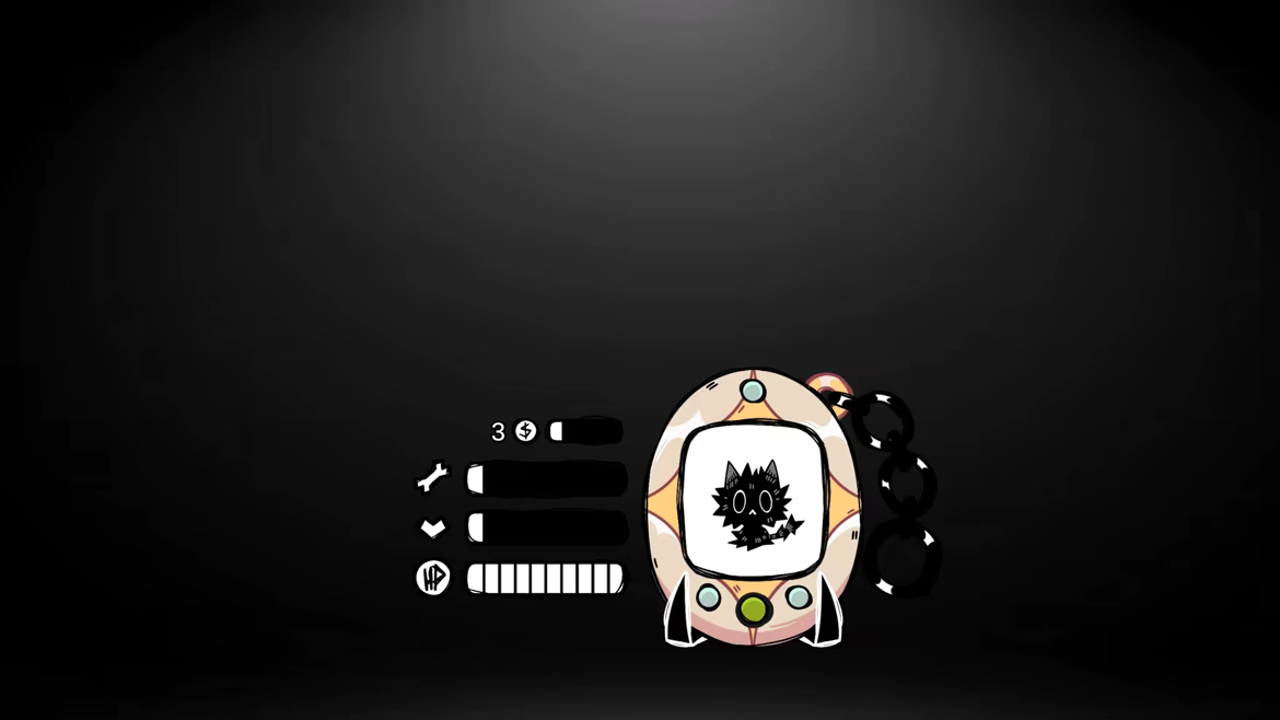 Flok video 4