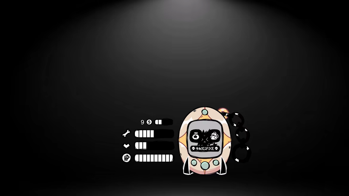 Flok video 5