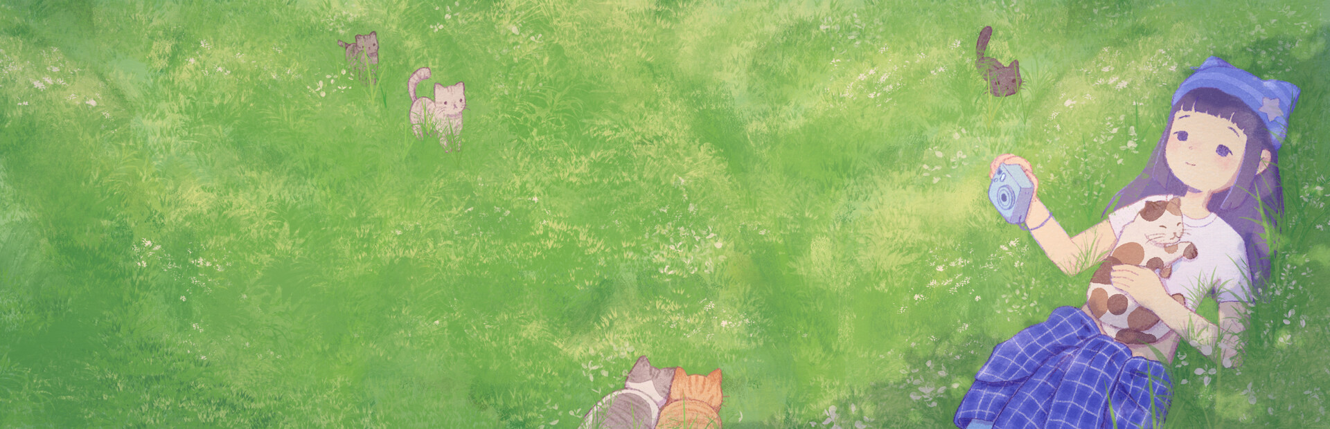 Snap the Cat