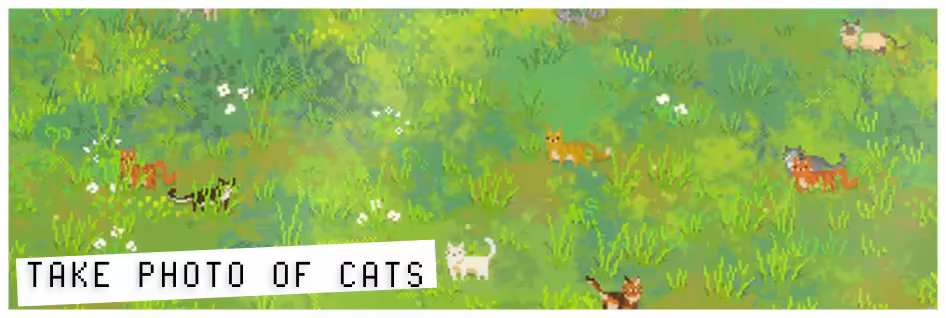 Snap the Cat video 1