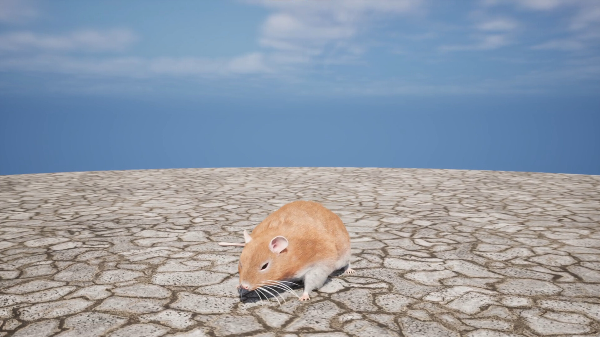 Labyrinth of Whiskers screenshot 1
