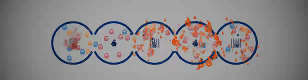Observation Daruma Log video 3