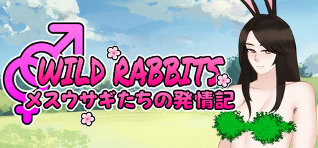 Wild Rabbits: メスウサギたちの発情記