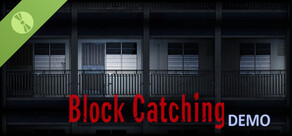 Block Catching Demo