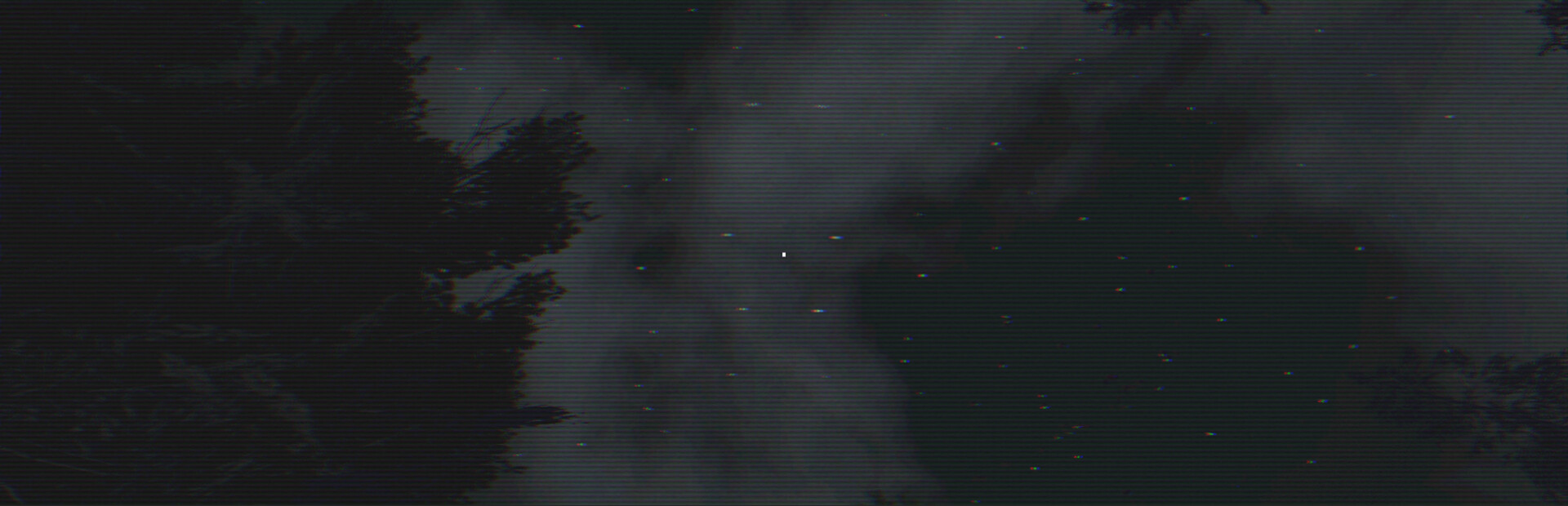 The Cluster