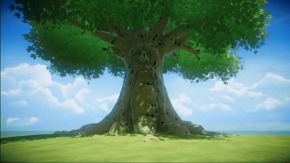 Softscape video 3