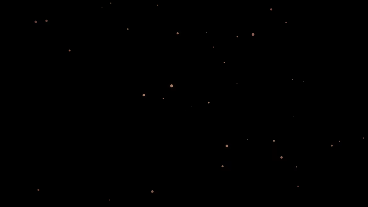 Linkisa video 1