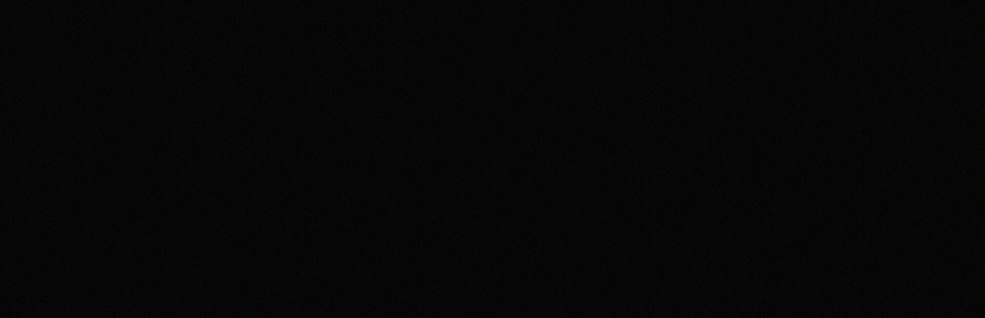 NEVER LOOK BACK