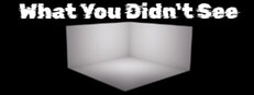 What You Didn't See cover