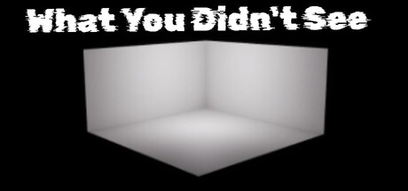 What You Didn't See