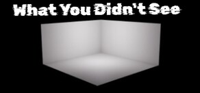 What You Didn't See