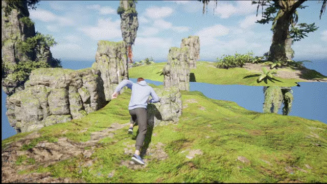 Platformus video 1