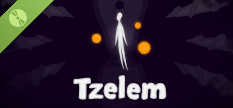 Tzelem Demo
