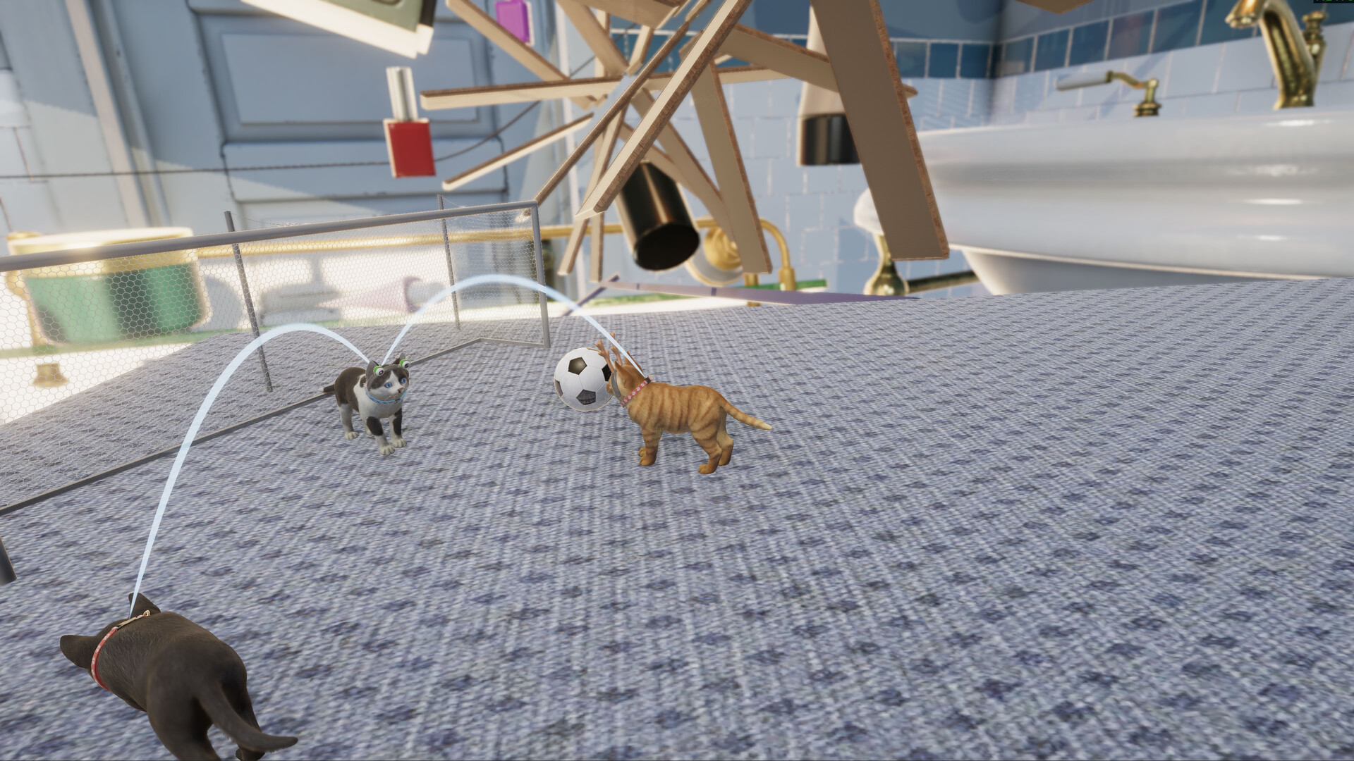 Climb or Meow screenshot #8