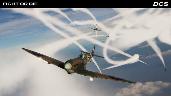 DCS: Spitfire Fight or Die Campaign by Reflected Simulations