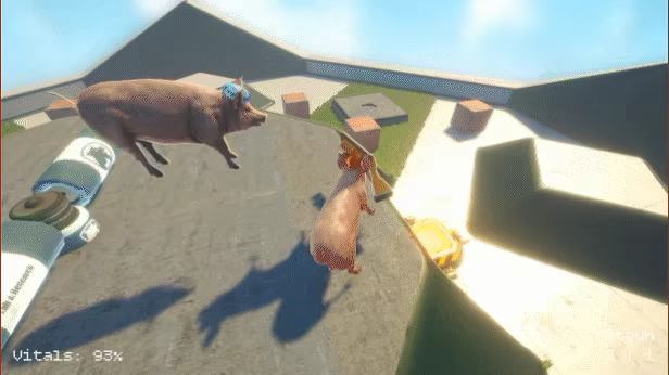 Pig King video 1