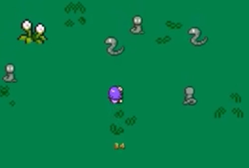 Slime & Friends