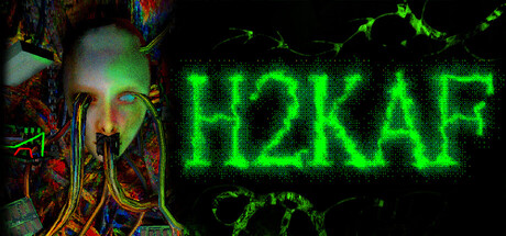 how to kill a fly H2KAF