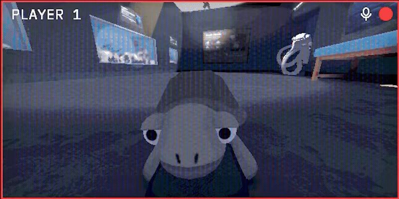 TurtleSkate video 1