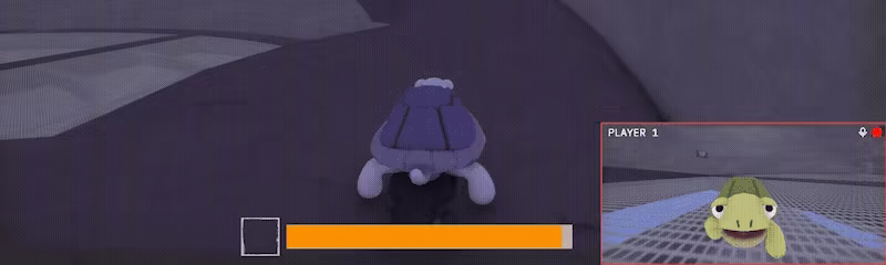 TurtleSkate video 4