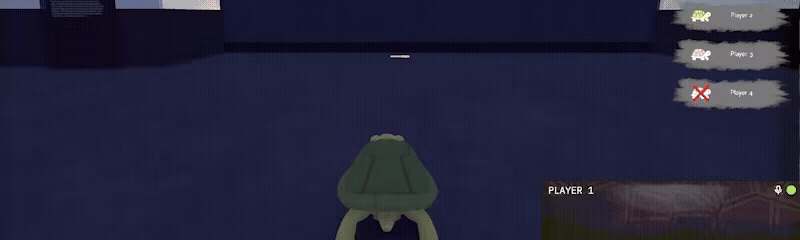 TurtleSkate video 2