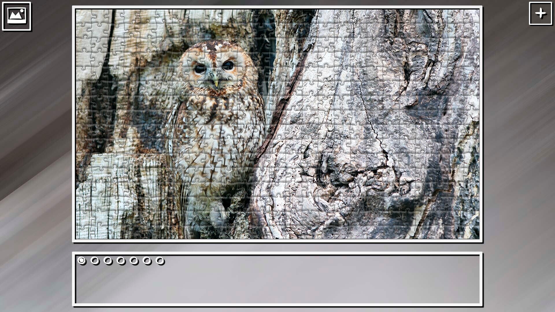 Super Jigsaw Puzzle: Generations - Random Animals 6