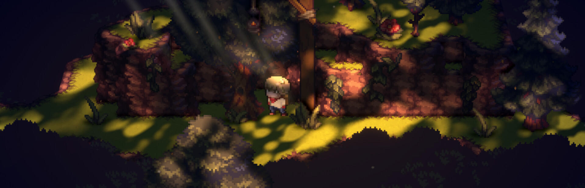 Canopy