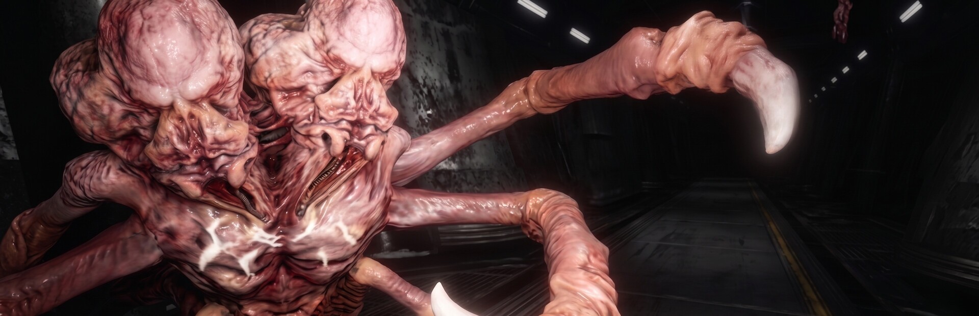 XENO HIVE