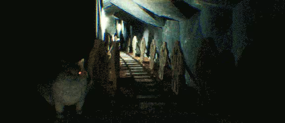 At Night: Haunted Ride video 4