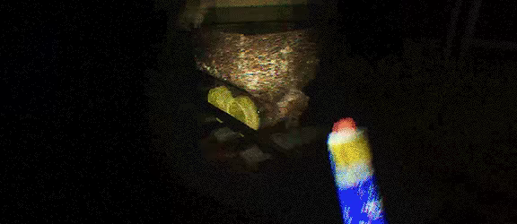 At Night: Haunted Ride video 5