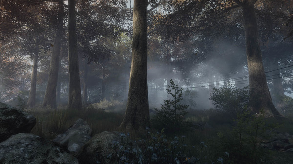 The Vanishing of Ethan Carter VR