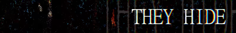TAMBOURINE video 4