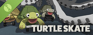 TurtleSkate Demo