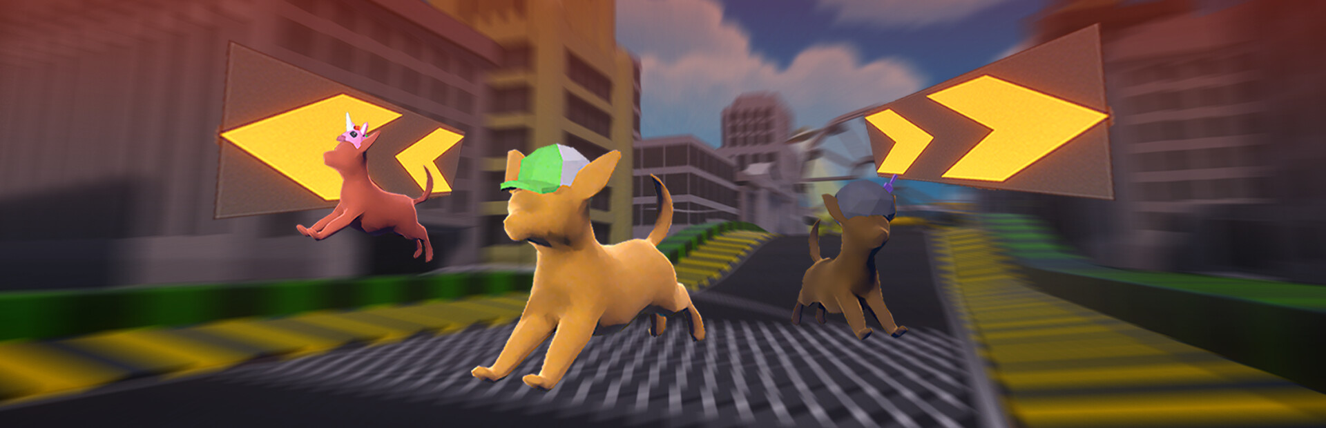 Chihuahua Racing