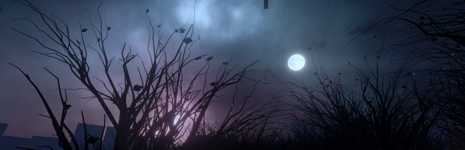 The Night Walk