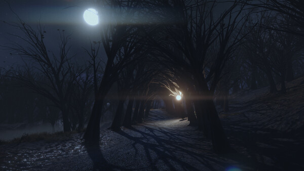 The Night Walk screenshot 7
