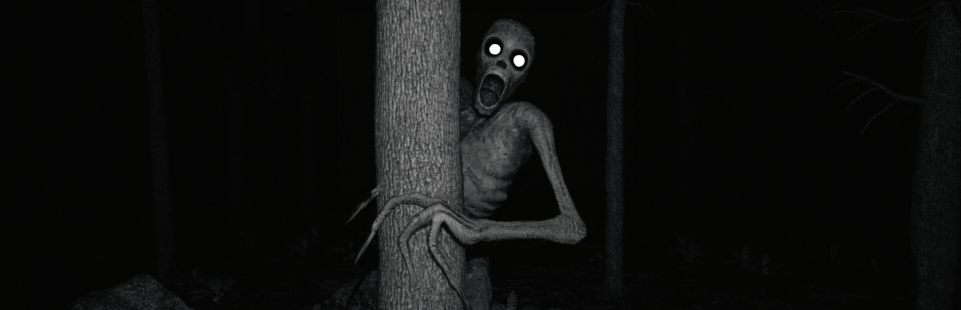 The Rake Sees You