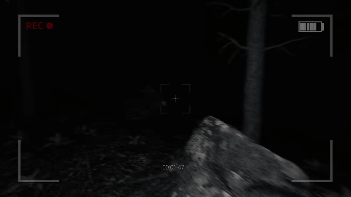 The Rake Sees You video 1