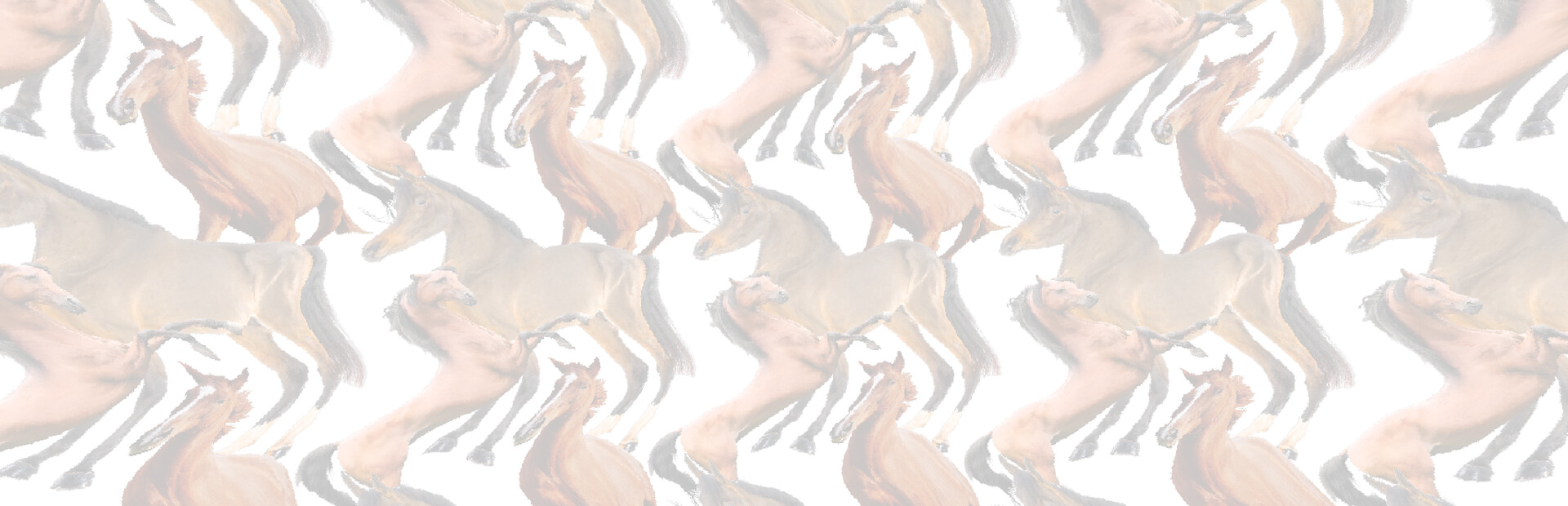 Horse Magnifier: The Full Horse